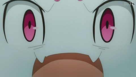ANCB003055