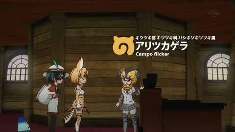 けものフレンズ 第10話 感想 アプリの話してます あにこ便 けものフレンズ 第10話 感想 アプリの話してます あにこ便
