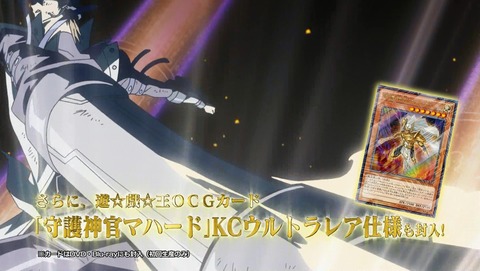 ANCB006204