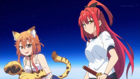 Z/X Code reunion 5話 感想 0252