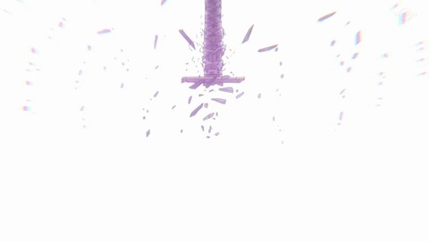 ANCB002173