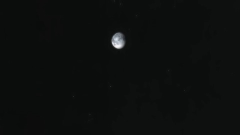 ancb01462