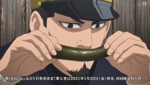ANCB001877