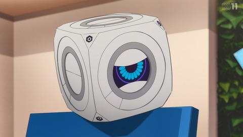 ANCB002047