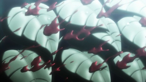 ancb00067