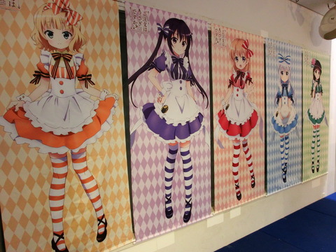 gochiusa[79]