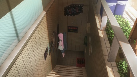 ANCB001981