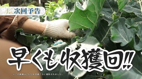 はめふら 8話 感想 026