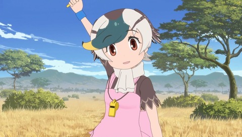 ancb00260