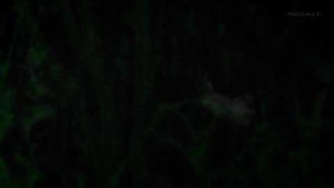 ancb000584