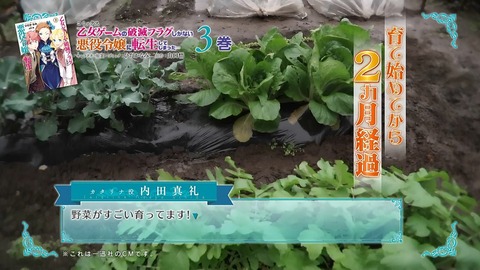 ancb00273