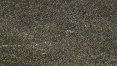 ancb02230