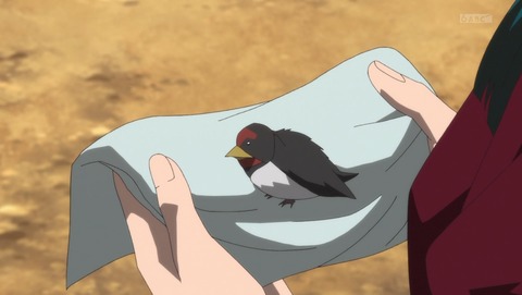 ancb001406