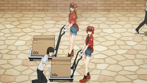 ancb01243