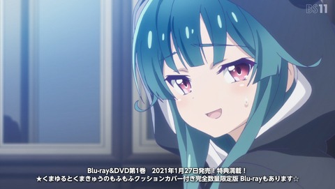 ANCB001613
