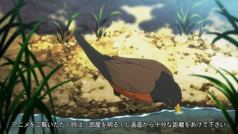 ancb00535