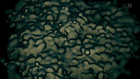 ANCB001062