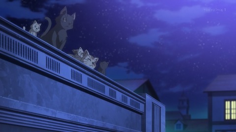 シャチバト 12話 感想 052