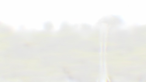 ancb00047