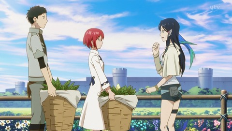 赤髪の白雪姫 第10話 感想 黒髪美人と青い鳥 そしてラストでついに あにこ便
