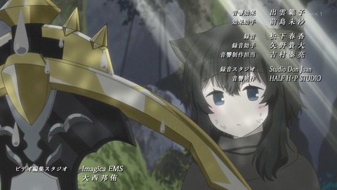 ANCB003311