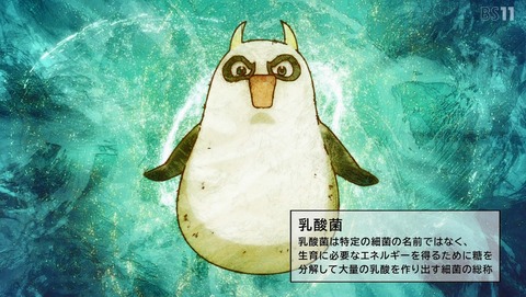 ANCB001593