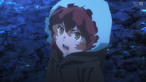 ANCB001179