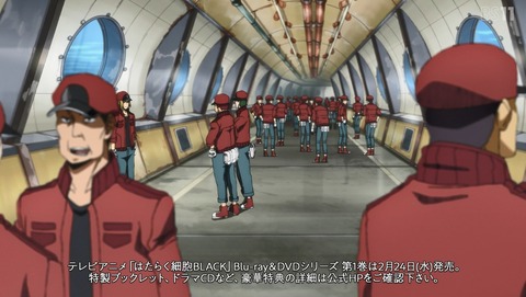 ANCB002231