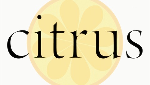 citrus 12話 最終回 感想 74