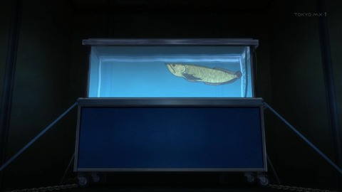 ancb00533