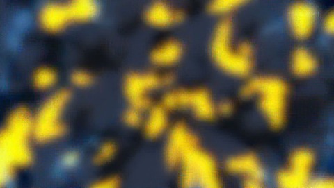 ancb00466