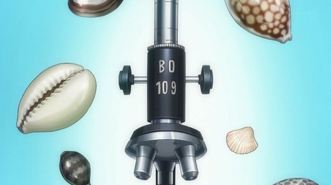 ancb02302