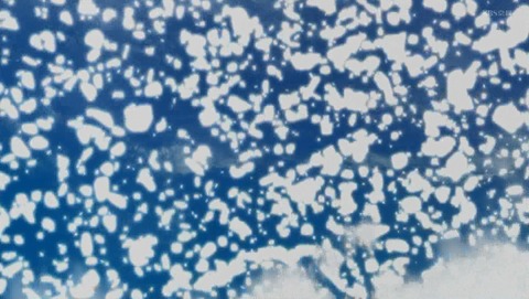 ANCB003057