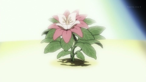 ancb02503