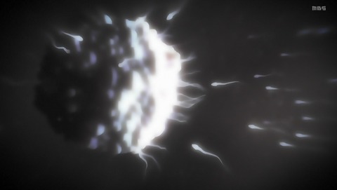 ANCB000739