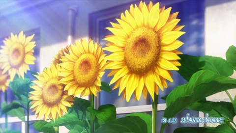ancb000356