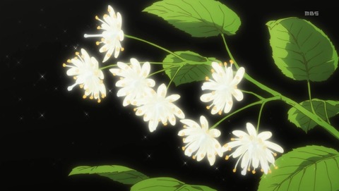 ANCB002333