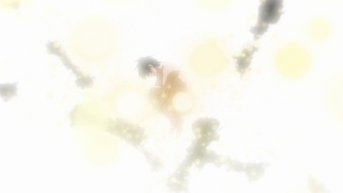 ancb006586