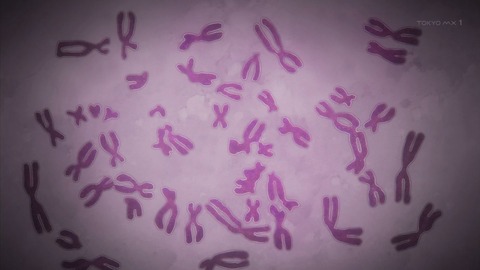 ancb02126