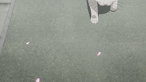 ancb000036