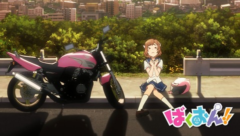 ANCB001246