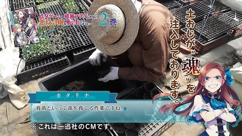 ancb00207