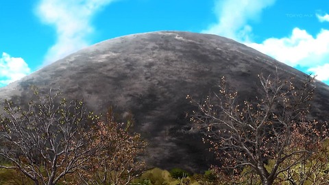 ancb00482