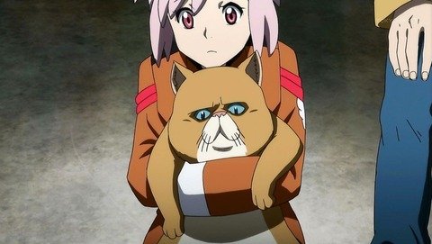 ancb00427