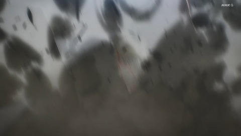 ANCB001659