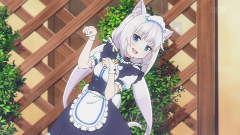 ANCB001101