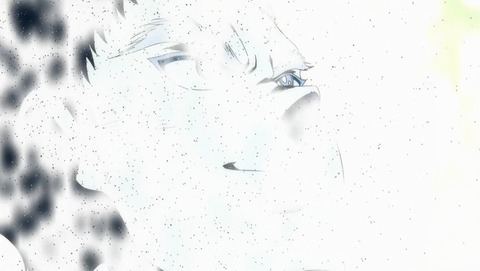 ANCB002735