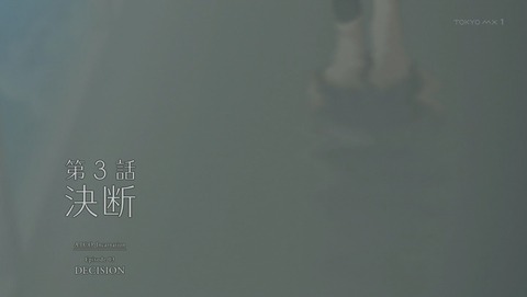 ANCB003246