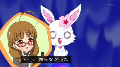 レディジュエルペット 26話 感想 726
