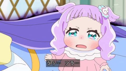 ひろがるスカイ プリキュア 15話 感想 3670
